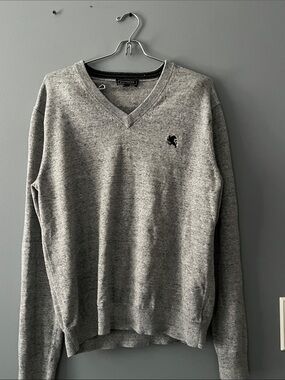 Express Grey V-Neck Sweater with Embroidered Logo